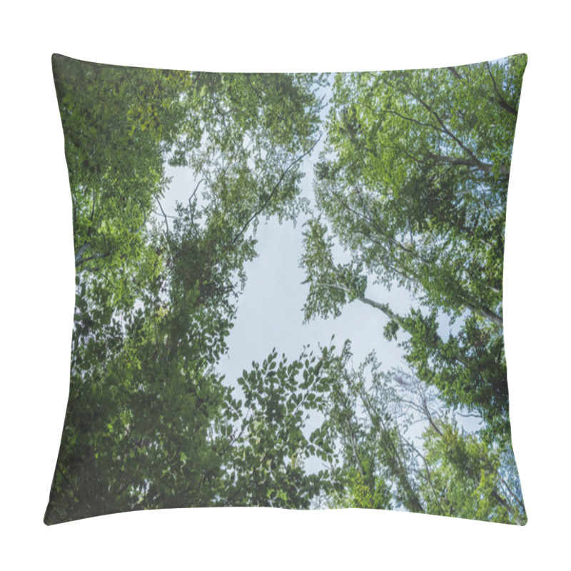 Personality  bottom view of blue sky through tree branches pillow covers