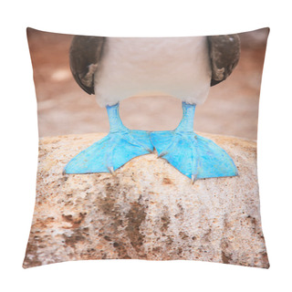 Personality  Feet Of Blue Footed Booby Pillow Covers