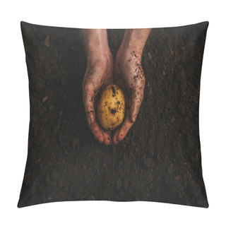 Personality  Partial View Of Dirty Farmer Holding Ripe Potato In Ground Pillow Covers