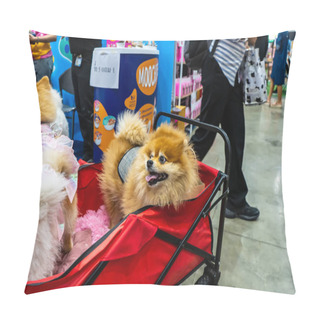 Personality  Nonthaburi, Thailand - MAR 27, 2021: Dogs At The 10th SmartHeart Presents Thailand International Pet Variety Exhibition At Muang Thong Thani, Nonthaburi, Thailand. Pillow Covers