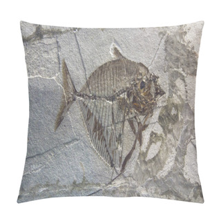 Personality  Ancient Pre Historic Fish Fossil In A Rock Formation Pillow Covers
