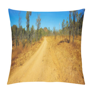 Personality  Panorama Of Outback Australia Pillow Covers