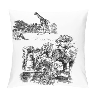 Personality  African Animals, Hand Drawn Elephants And Giraffe. Pillow Covers