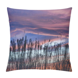 Personality  Sunset Behind The Reeds Pillow Covers