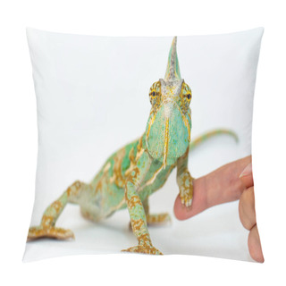 Personality  Green Chameleon On A Girls Hand On A White Background. Pillow Covers