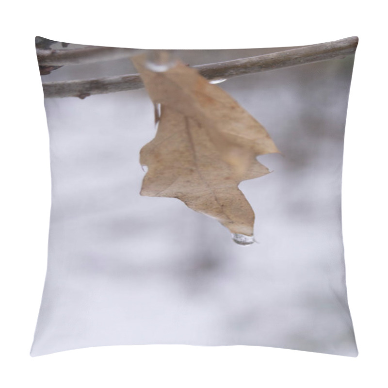 Personality  Winter's touch on nature: Close-up on a single leaf with a frozen drop, a subtle blend of life's persistence and seasonal change. Solitude in the snow: This single leaf holding a water droplet illustrates nature's quiet beauty amidst winter's chill. pillow covers