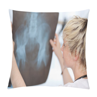 Personality  Female Doctor Looking At Xray Report Pillow Covers