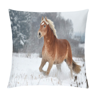 Personality  A Beautiful Horse In An Open Air Pillow Covers