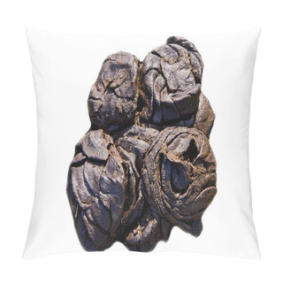 Personality  Bio Poop Pillow Covers