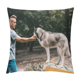 Personality  Dog Trainer Working With Siberian Husky On Dog Walk Obstacle  Pillow Covers