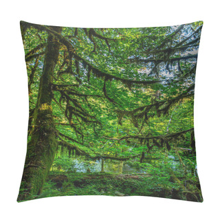 Personality  Moss Covered Trees In Olympic National Park, Washington Pillow Covers