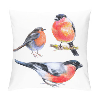 Personality  Bullfinches, Birds With A Scarlet Breast, Drawing On Paper, Colored Pencil, For Decorating Printed Pages About Nature Pillow Covers
