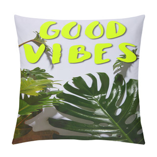 Personality  Fresh Tropical Green Leaves On White Background With Good Vibes Illustration Pillow Covers