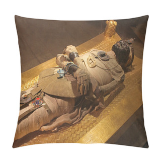 Personality  Egyptian Mummy Pillow Covers