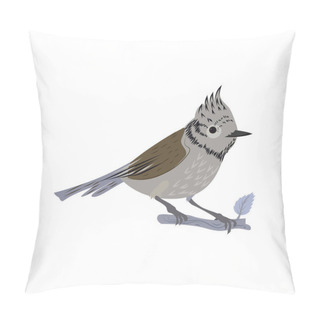 Personality  Beautiful Multi-colored Bird Isolated On White Background. Pillow Covers
