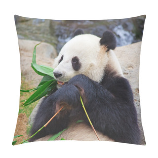 Personality  Panda Bear Pillow Covers
