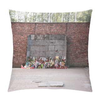 Personality  Execution Wall, Auschwitz Pillow Covers