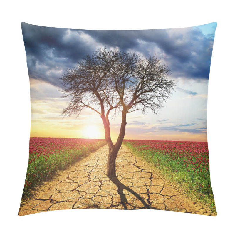 Personality  Dry cracked earth and dead tree in the middle of blooming field. Concept of change climate or global warming. pillow covers