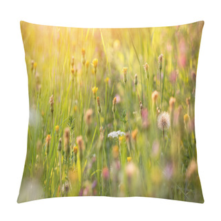 Personality  Atmosphere Of Summer Flowering Meadow Pillow Covers