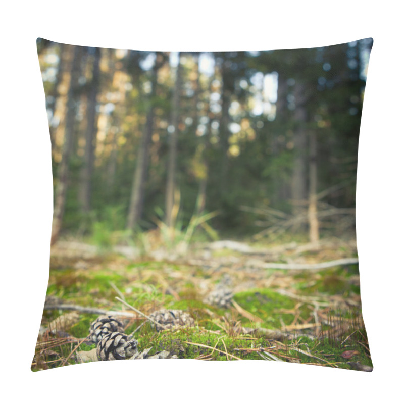 Personality  Beautiful riparian forest scenery on a lovely summer evening pillow covers