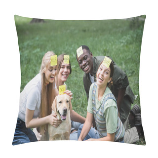 Personality  Smiling Multiethnic Teenagers With Retriever Playing Who I Am In Park  Pillow Covers