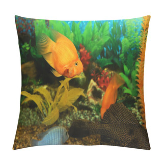 Personality  Aquarian Fishes Pillow Covers