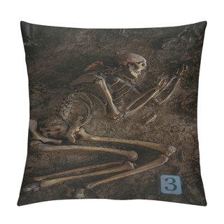Personality  Old Human Skeleton In Ancient Tomb At Archaeological Excavation. Pillow Covers