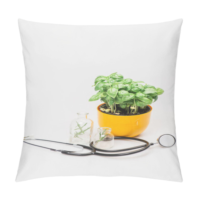 Personality  Green Plant In Flowerpot Near Herbs In Glass Bottles And Stethoscope On White Background, Naturopathy Concept Pillow Covers