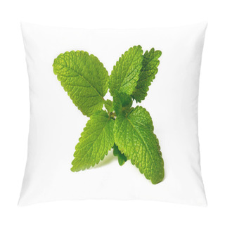 Personality  Fresh Melissa Officinalis Isolated On White Background. Pillow Covers