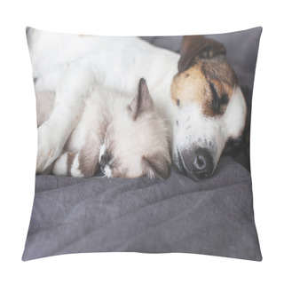 Personality  Dog And Cat Sleeping Together. Dog And Small Kitten On White Blanket On Bed Pillow Covers