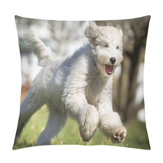 Personality  Dog Running Outdoors In Nature Pillow Covers