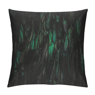 Personality  Abstract Background Of Green Dark Feathers, Rainbow Green Highlights On The Plumage Pillow Covers
