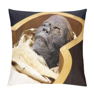 Personality  Open Casket Of Egyptian Mummy Pillow Covers