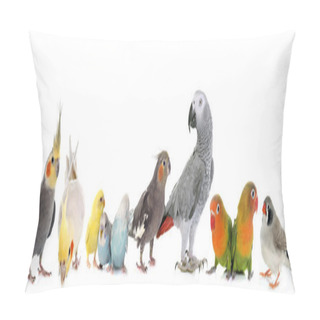 Personality  Group Of Birds Pillow Covers