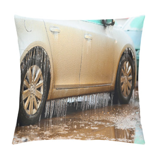 Personality  Ice Covered Car Side Pillow Covers