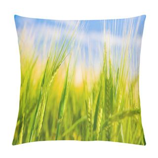 Personality  Wheat Field. Agriculture Pillow Covers
