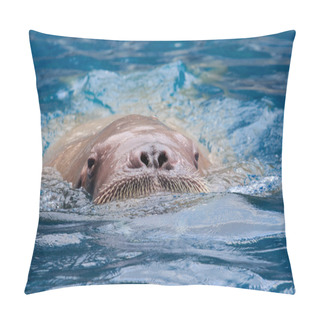 Personality  Close Up Face Of Male Walrus Swiming In Deep Sea Water  Pillow Covers