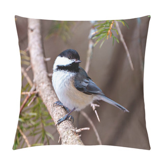Personality  Chickadee Close-up Profile View Perched On A Coniferous Tree Branch In Its Environment And Habitat Surrounding. Pillow Covers