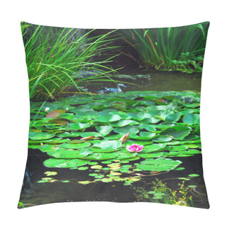 Personality  Lanscape Pond With Aquatic Plants And Water Lilies Pillow Covers