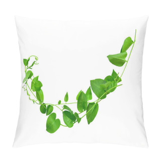 Personality  Wild Morning Glory Leaves Jungle Vines Tropical Plant Isolated On White Background, Clipping Path Included Pillow Covers