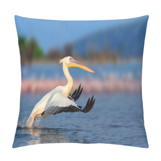 Personality  Great White Pelican Pillow Covers