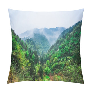 Personality  Evergreen Forest Overview - Tops Of Tall Green Trees With Dense Fog Rolling In Over Lush Wilderness Pillow Covers