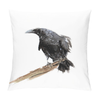 Personality  Watercolor Picture Of A Crow On A Branch Pillow Covers