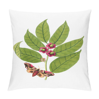 Personality  Vibrant Botanical Illustration Featuring Flowers, Fruits, And Butterflies. The Digital Watercolor Style Adds A Vintage Touch, Set Against A Textured White Background. Pillow Covers