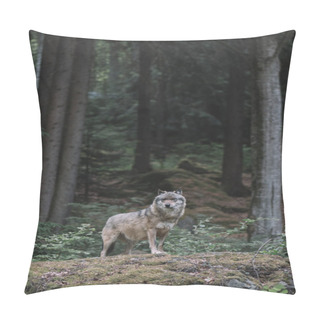 Personality  Wolf At Bayerisher Wald National Park, Germany Pillow Covers