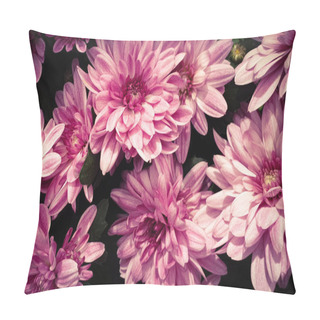 Personality  Beautiful Pink Flowers Chrysanthemum Flower Heads Pillow Covers