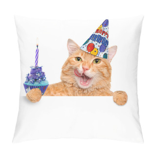 Personality  Birthday Cat . Pillow Covers
