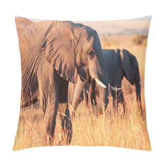 Personality  Elephants Herd In Amboseli Pillow Covers