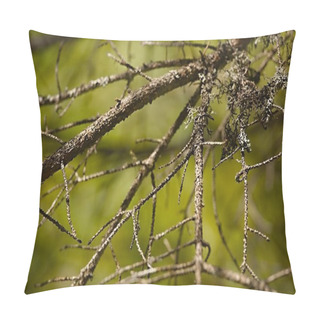 Personality  Bare Tree Branches Pillow Covers