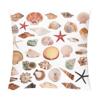 Personality  Shells Collection Pillow Covers